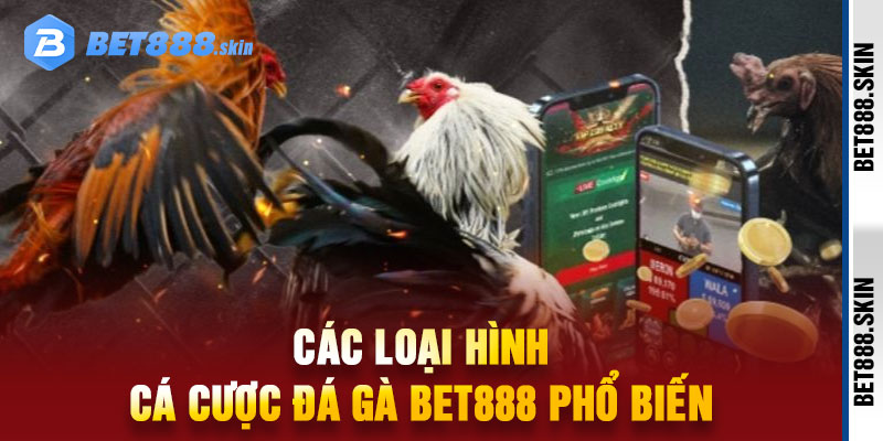 đá gà Bet888
