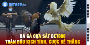 Đá Gà Cựa Sắt