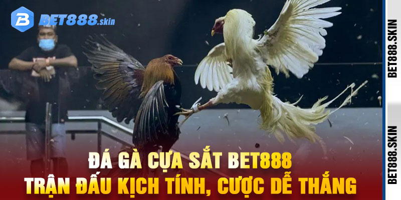 Đá Gà Cựa Sắt